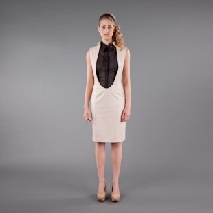 Lederkleid Frontansicht