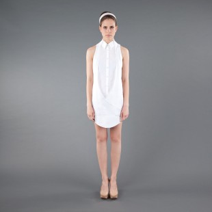Blusenkleid Frontansicht